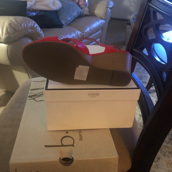 Shoe - Picture 4 of 5